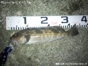 �����ʥ�