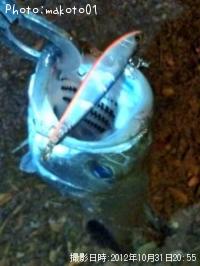 �����Х�