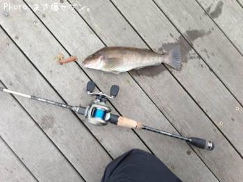 �����ʥ�