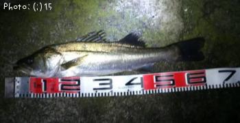 �����Х�