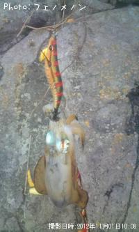 �����ꥤ��