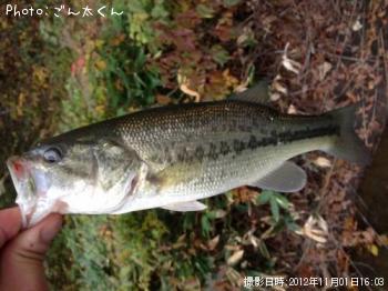 �֥�å��Х�