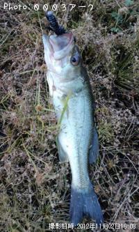 �֥�å��Х�