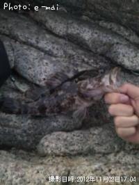 ¥¿¥±¥Î¥³¥á¥Ð¥ë