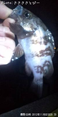 ���ꥢ��Х�