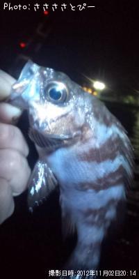 ���ꥢ��Х�