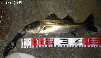 �����Х�