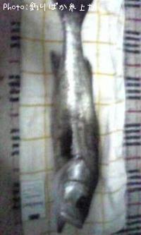 �����Х�