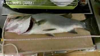 �ҥ饹����