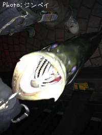 �����Х�