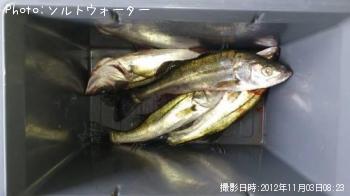 �����Х�