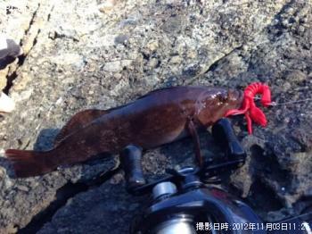 �����ʥ�