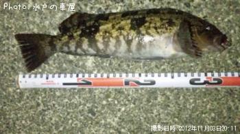 �����ʥ�