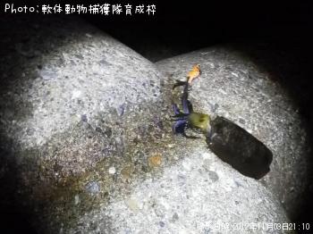 �����ꥤ��