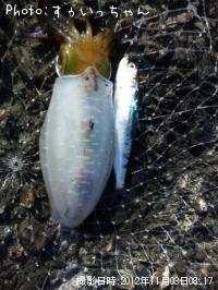 �����ꥤ��