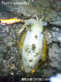 �����ꥤ��