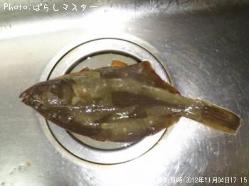 ¥¤¥·¥¬¥ì¥¤