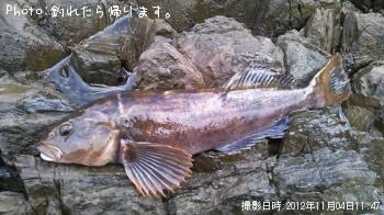 �����ʥ�