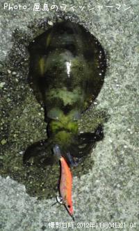 ¥¢¥ª¥ê¥¤¥«