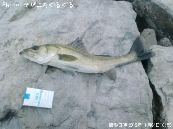 �����Х�