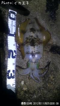 �����ꥤ��