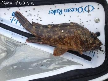 �����Υ���Х�