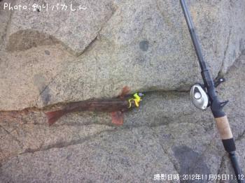 �����ʥ�