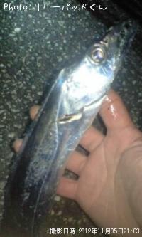 ���å������ʣ⡰������