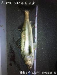 �����Х�