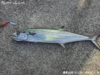 �ޤ�������