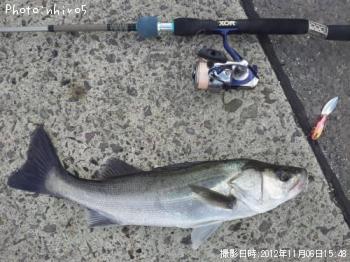 �����Х�