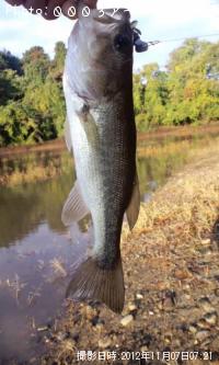 �֥�å��Х�