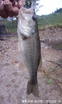 �֥�å��Х�