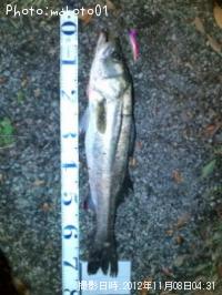 �����Х�