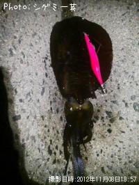 �����ꥤ��