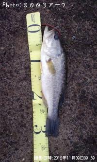 �֥�å��Х�