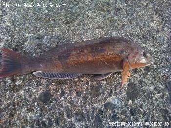 �����ʥ�