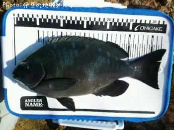 ¸ýÂÀ¥á¥¸¥Ê