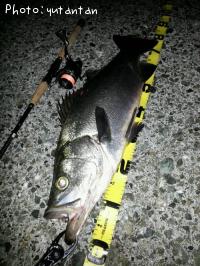 �ҥ饹����