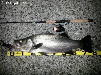 �ҥ饹����