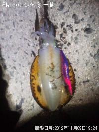 �����ꥤ��