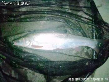 �����ޥ륿