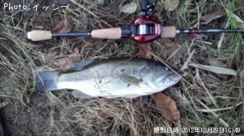 �֥�å��Х�