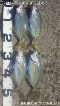 ���ޥ���