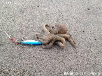 ��ä��褿�Τ��������ʡ���������