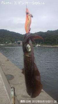 �����ꥤ��