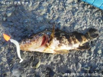 ¥¿¥±¥Î¥³¥á¥Ð¥ë