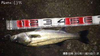 �����Ф�