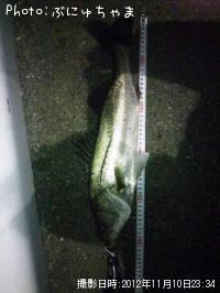 �����Х�