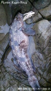 �����ʥ�